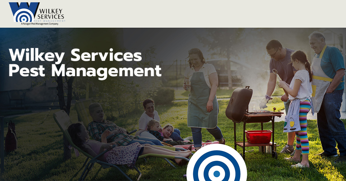 Myrtle Beach Bed Bug Control Wilkey Services Pest Management